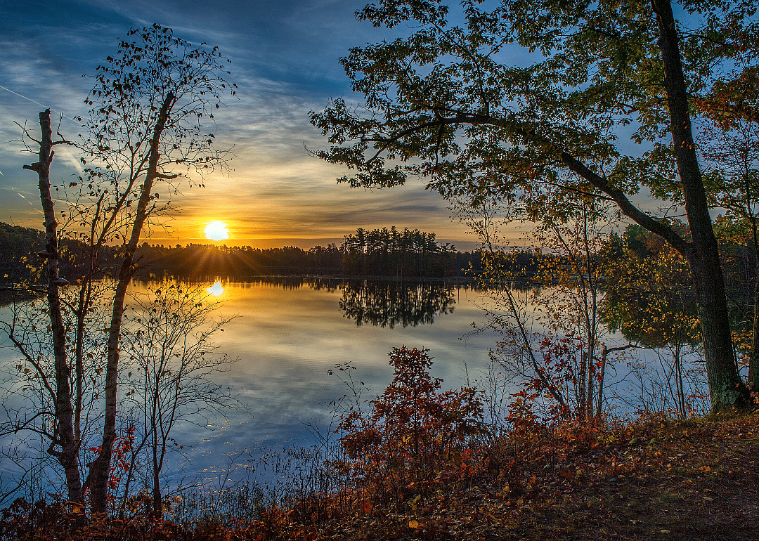 Ogemaw County