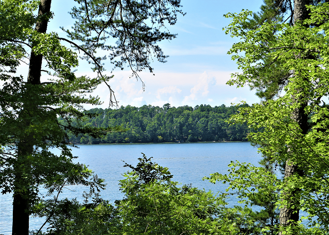 #9. Montgomery County