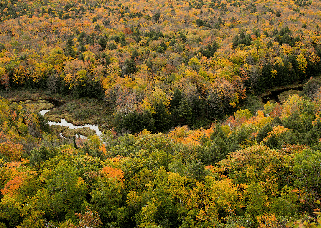 #7. Ontonagon County (tie)