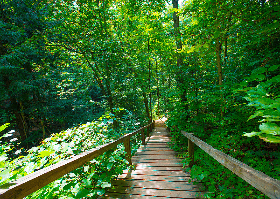 #27. Montgomery County, Indiana