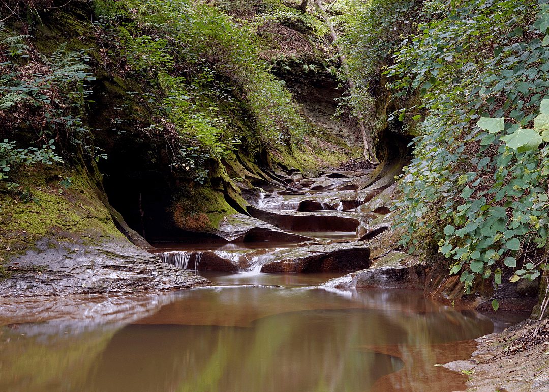 #20. Warren County, Indiana