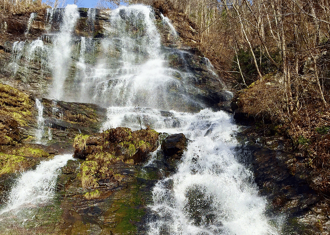 #26. Dawson County