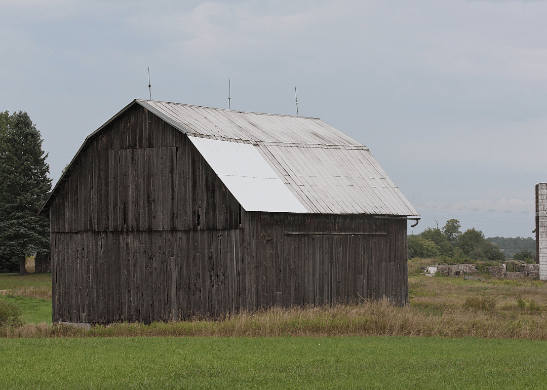Osceola County
