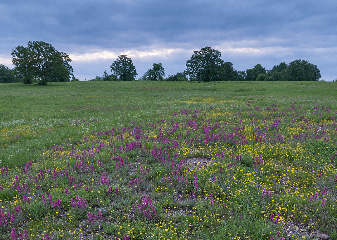 #29. McCurtain County, Oklahoma