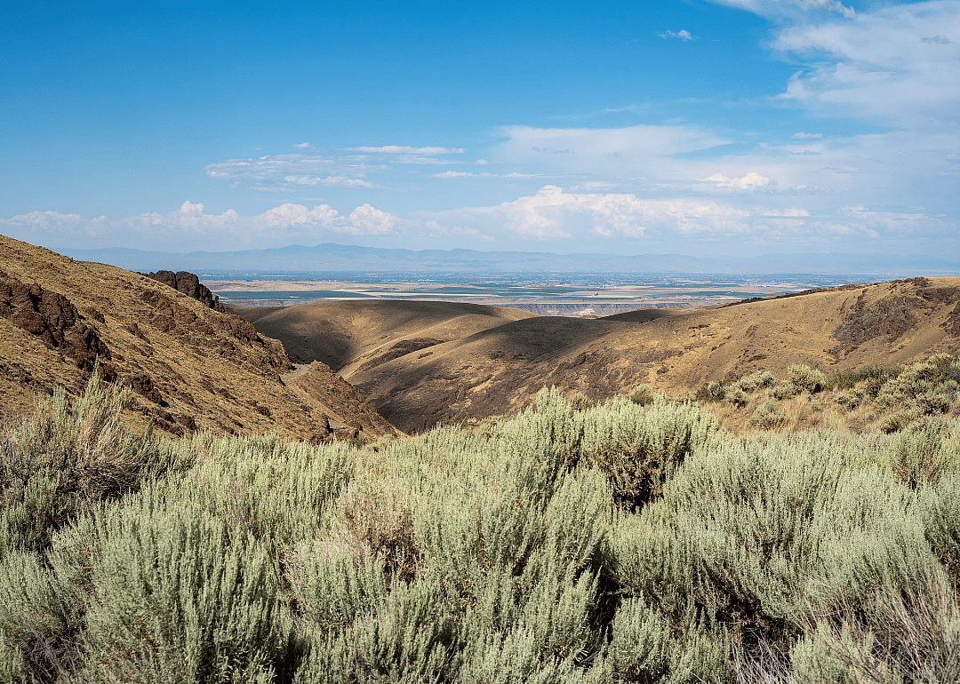 #42. Owyhee County