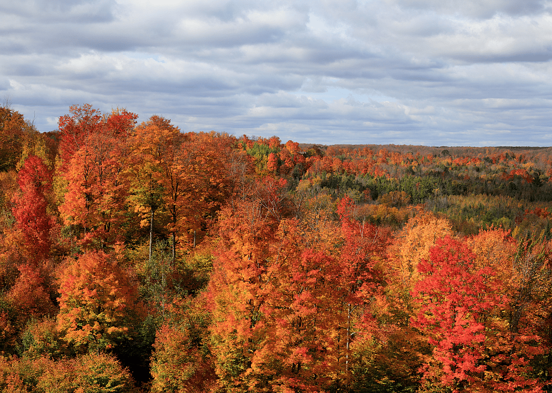 Otsego County