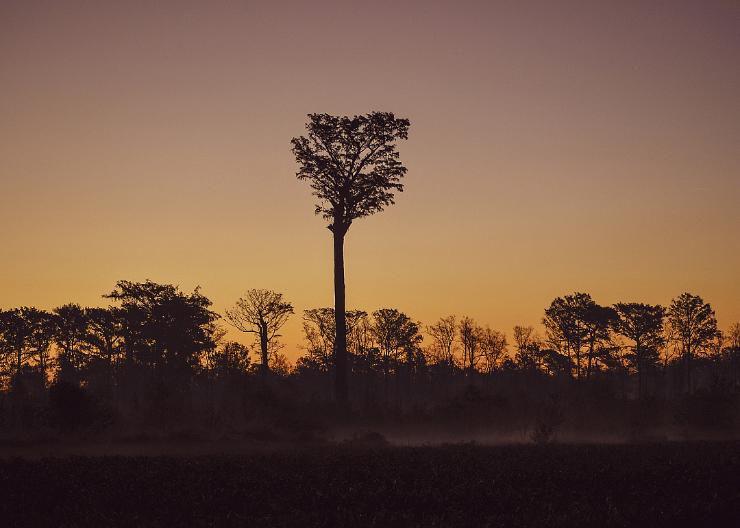 #48. Duplin County (tie)