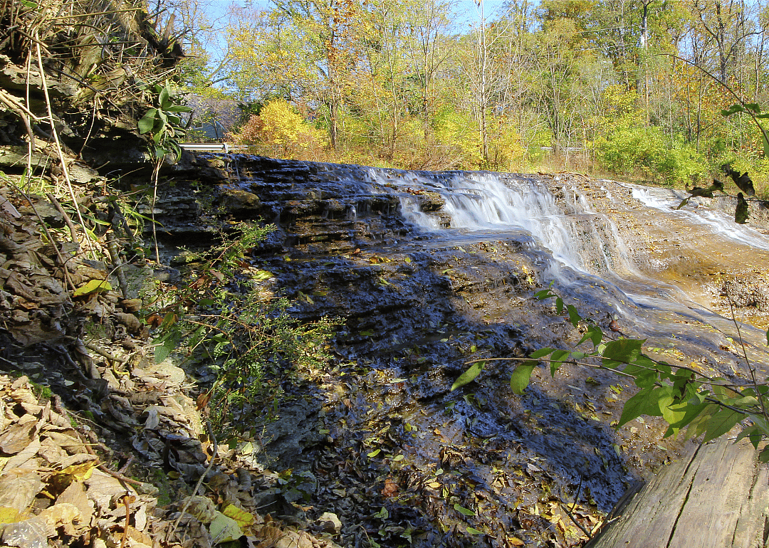 #26. Wayne County