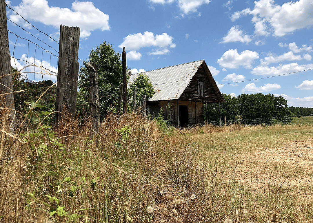 #37. Lamar County