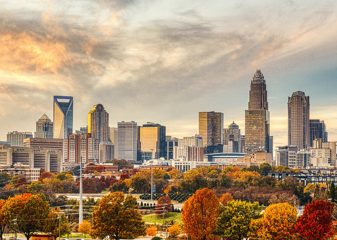 Charlotte's skyline during fall.