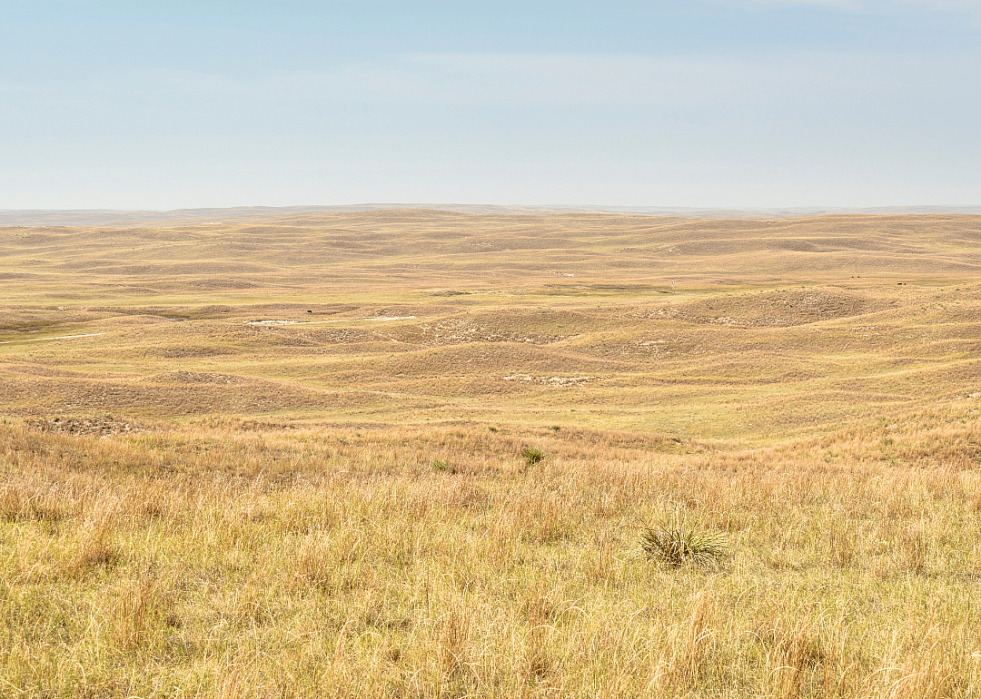 Grant County