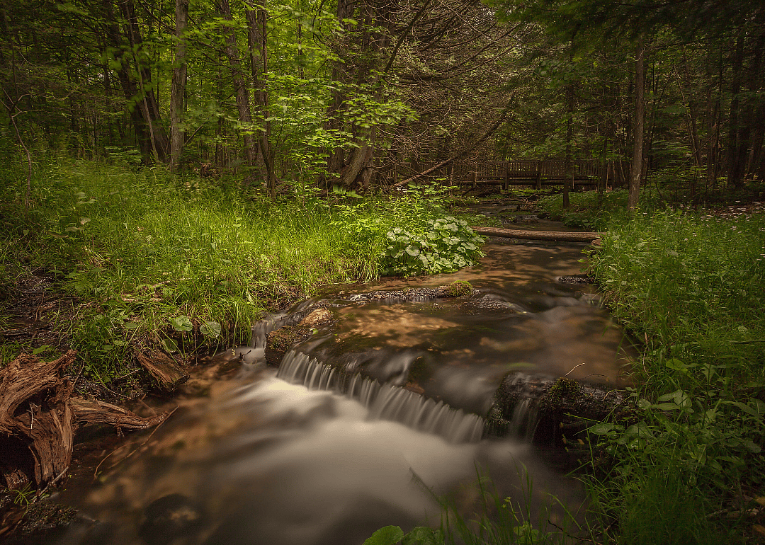 Kalkaska County