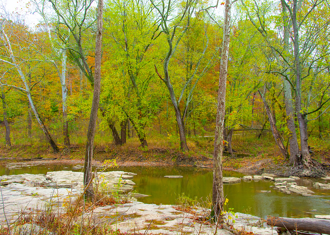 #29. Owen County