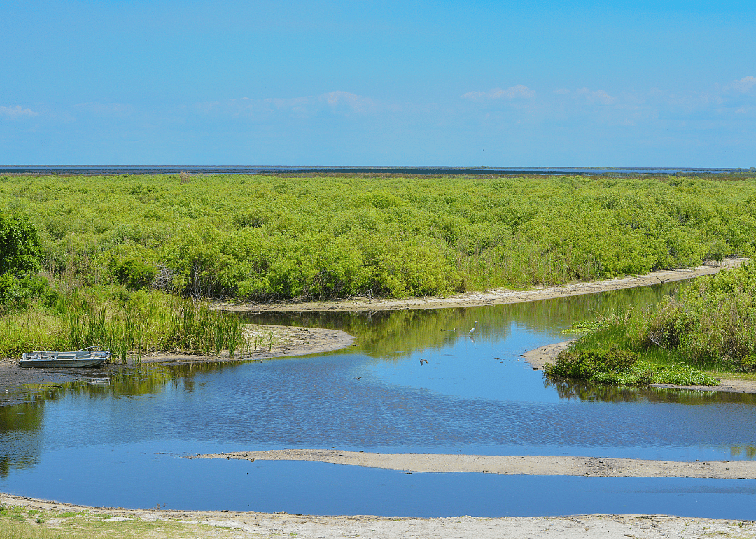 #46. Okeechobee County