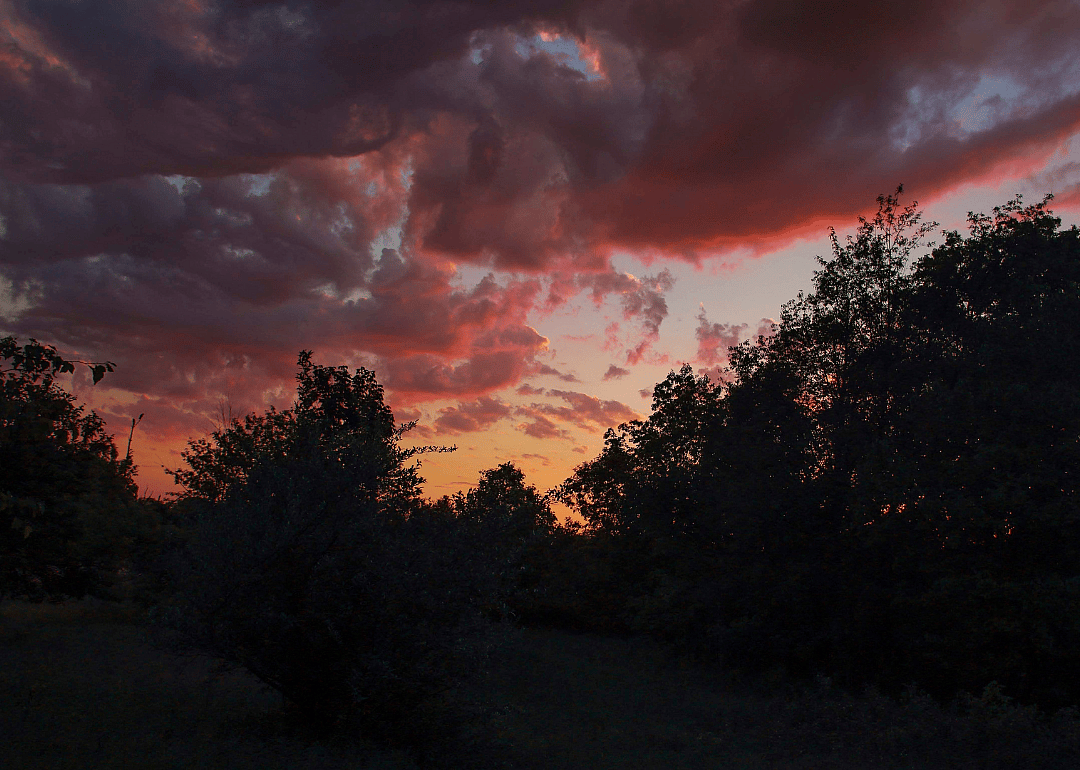 #35. Livingston County