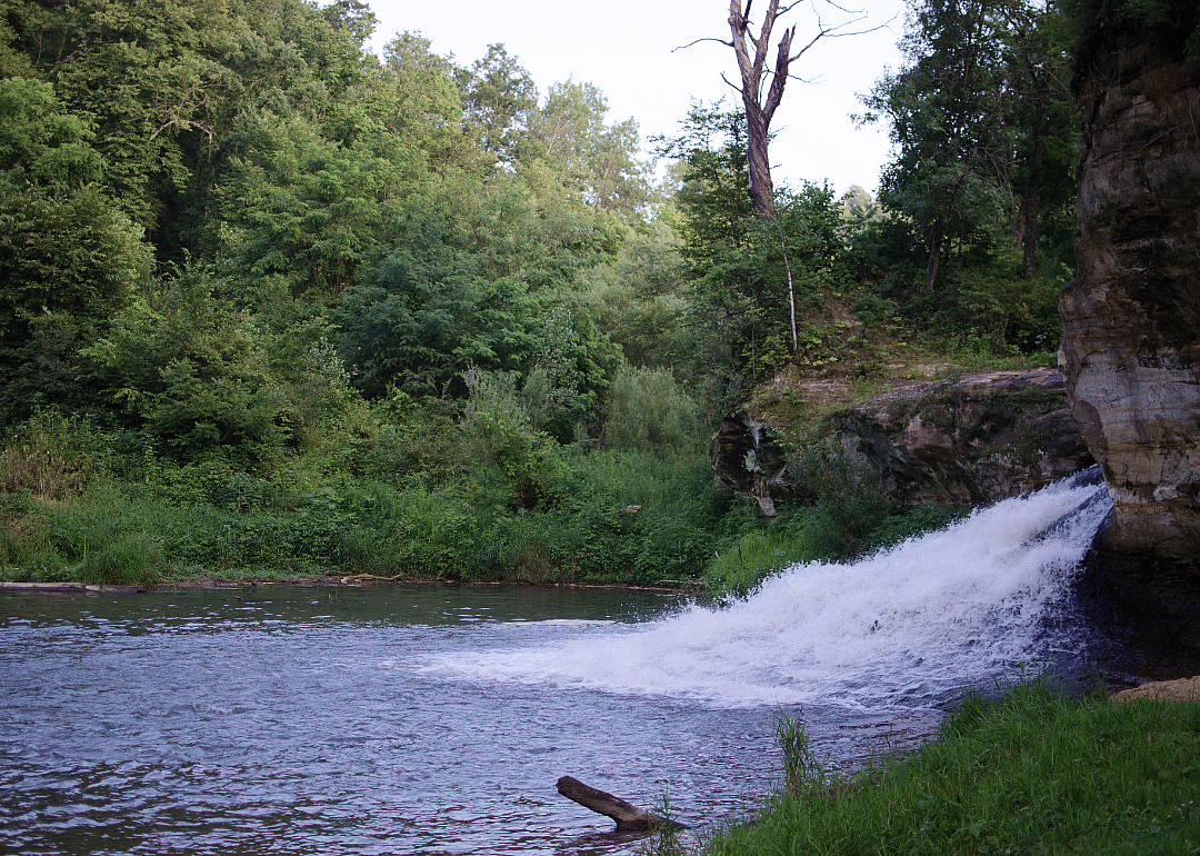 #40. Houston County