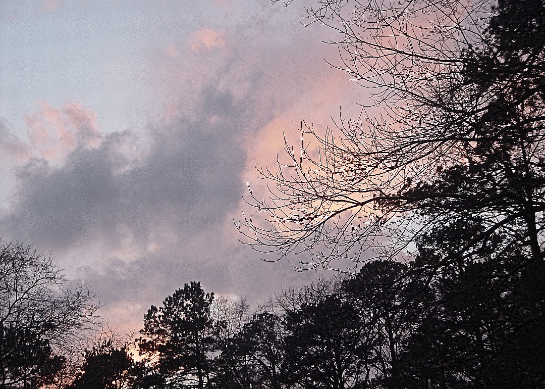 #5. Sampson County