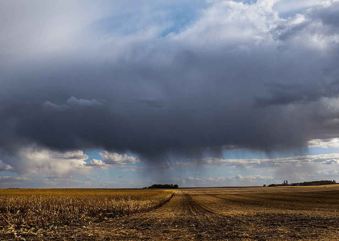 #23. Emmet County