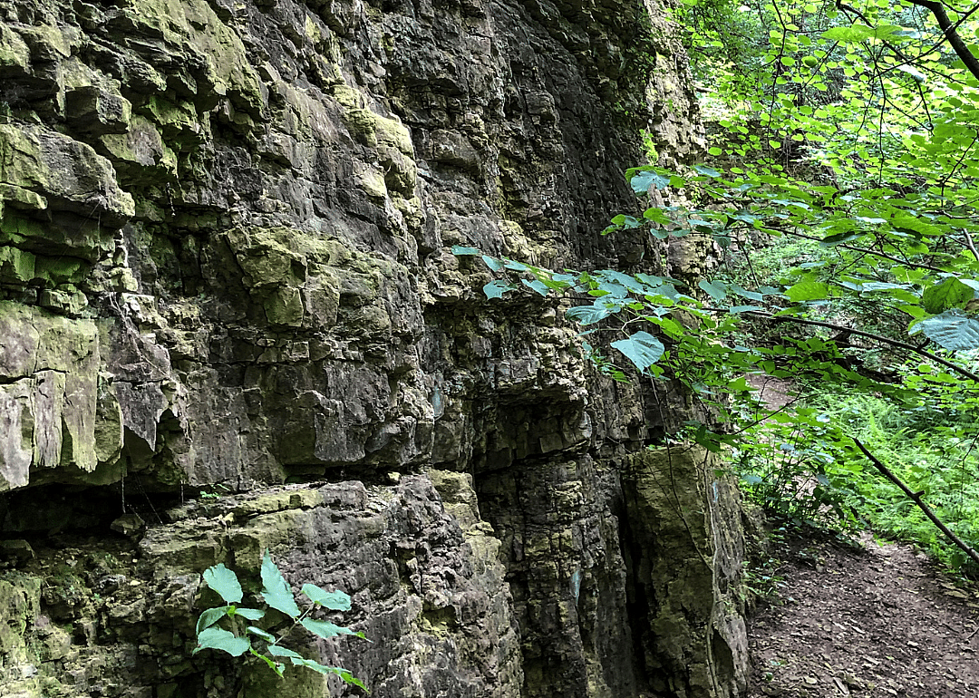 #24. Rock County, Wisconsin