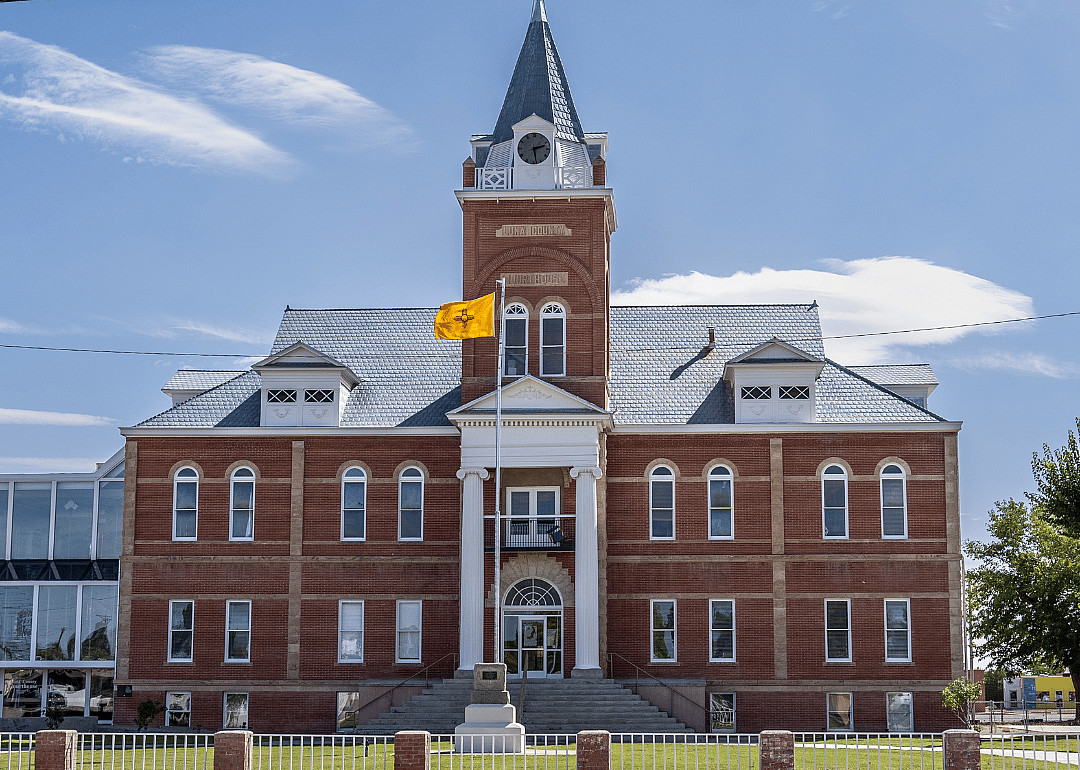 #27. Luna County