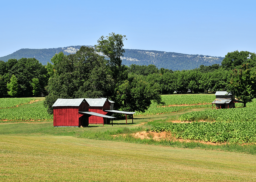 #33. Stokes County
