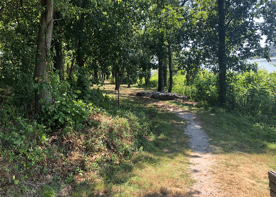 #5. Susquehanna County