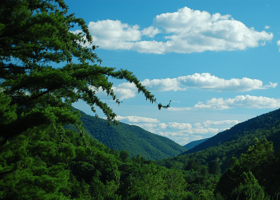 #42. Cameron County