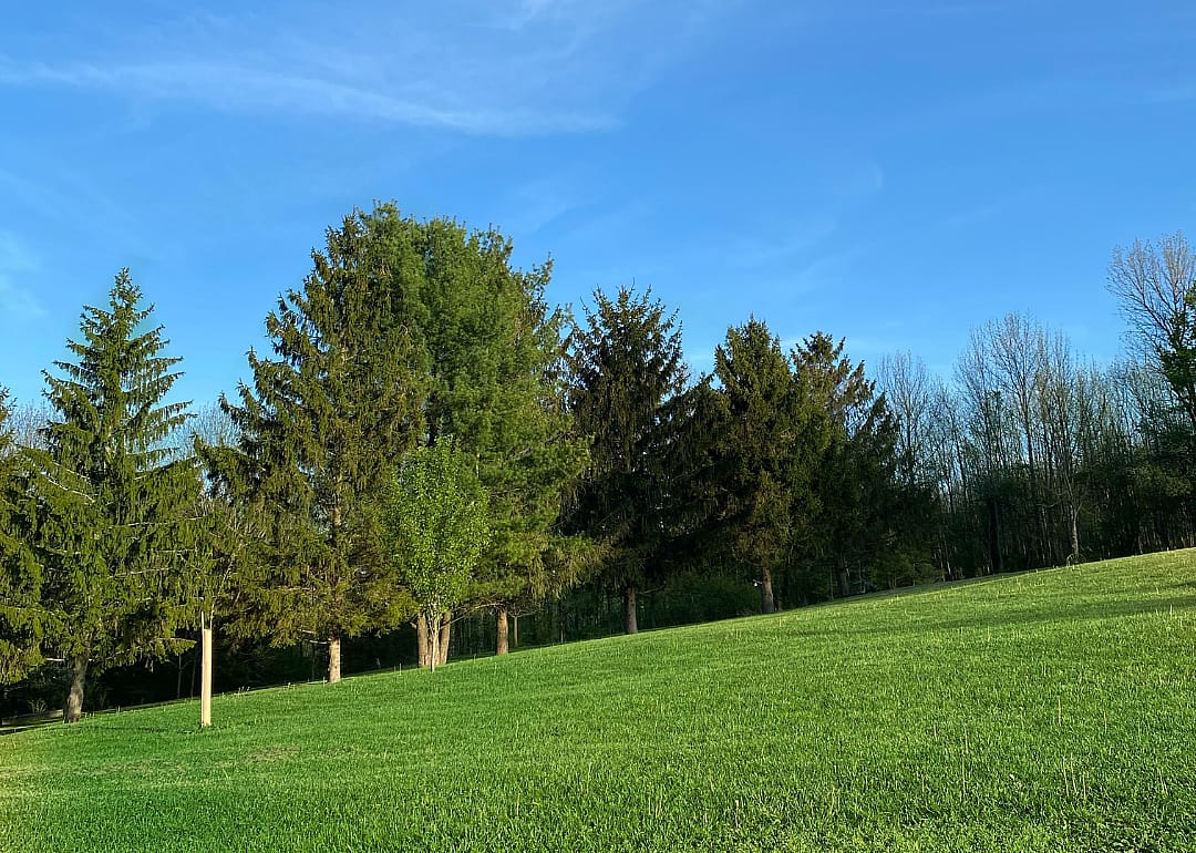 #4. Chenango