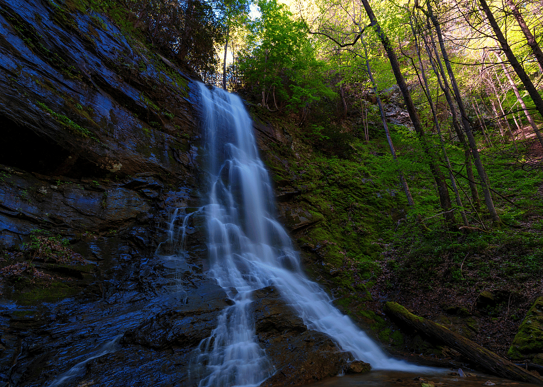 #35. Unicoi County