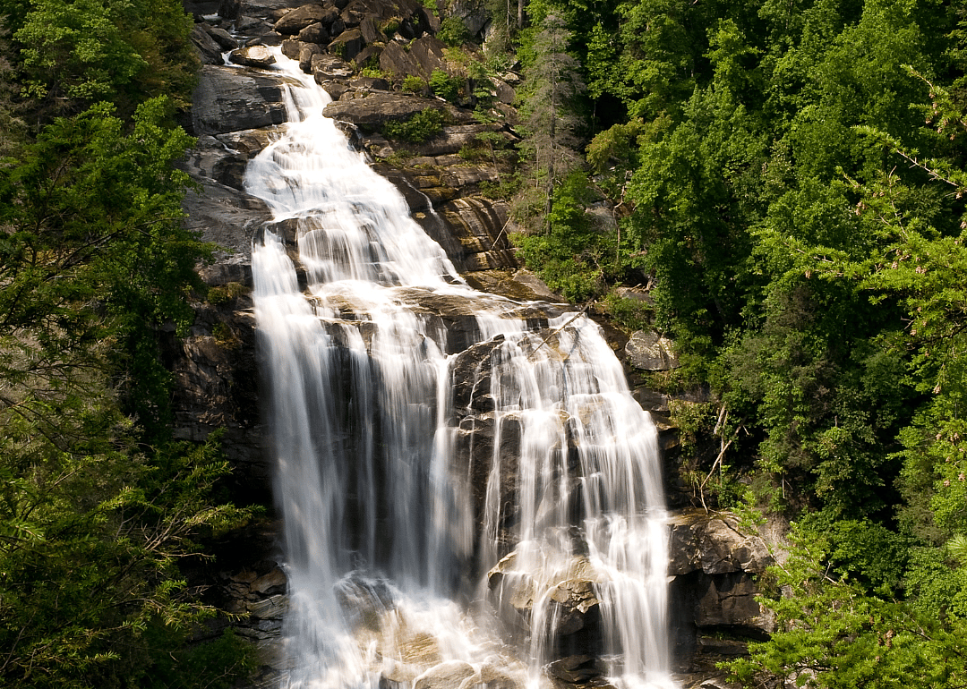#8. Transylvania County
