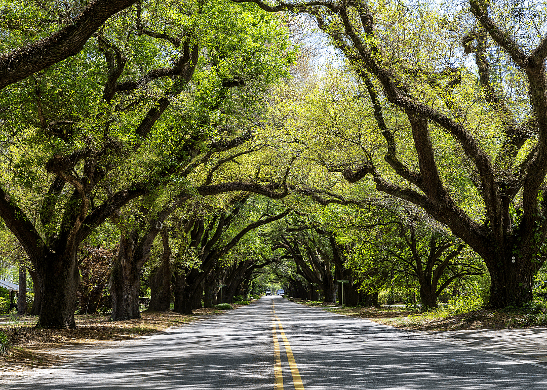 #25. Aiken County