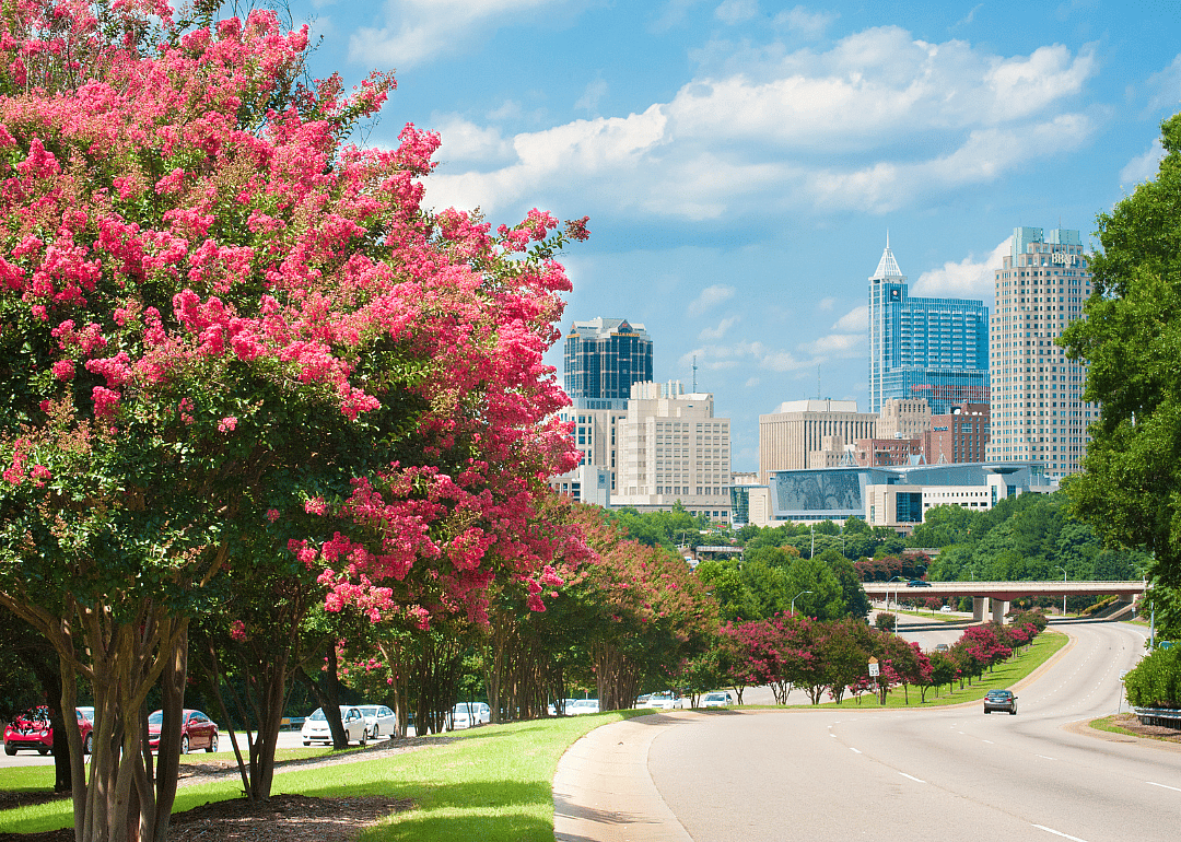 #2. Wake County