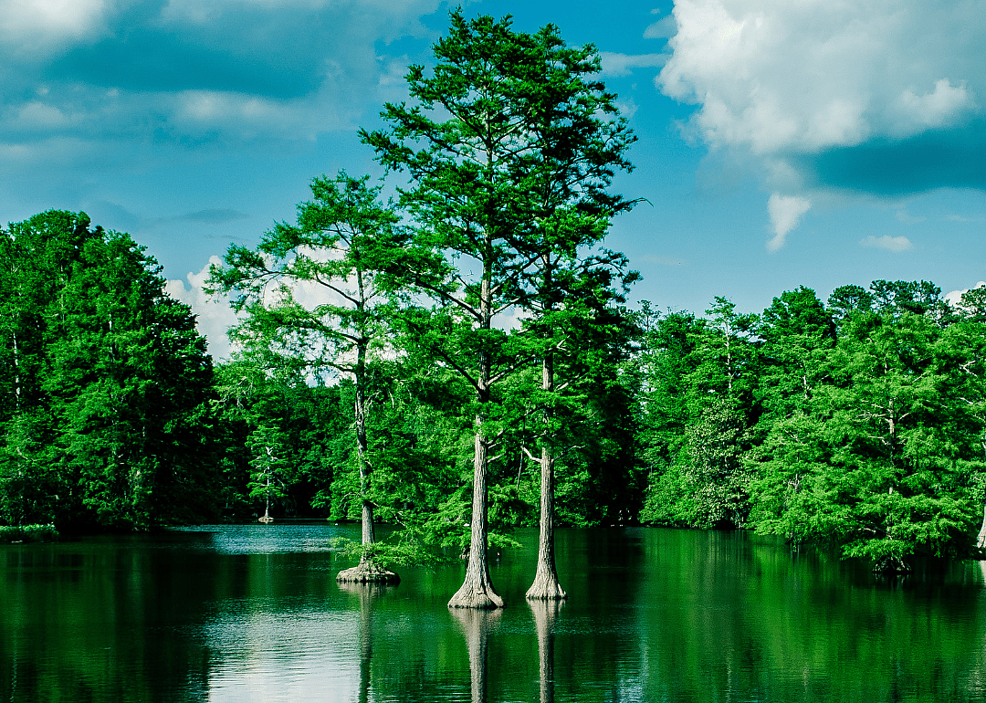 #20. Sumter County