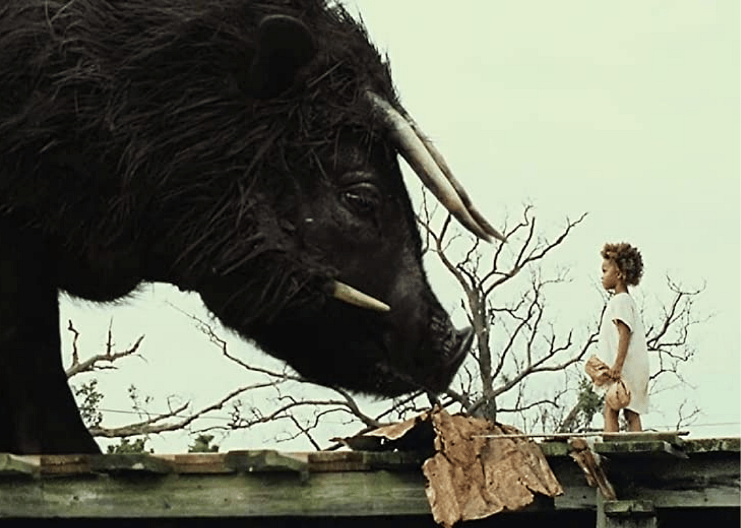 Beasts of the Southern Wild (2012)