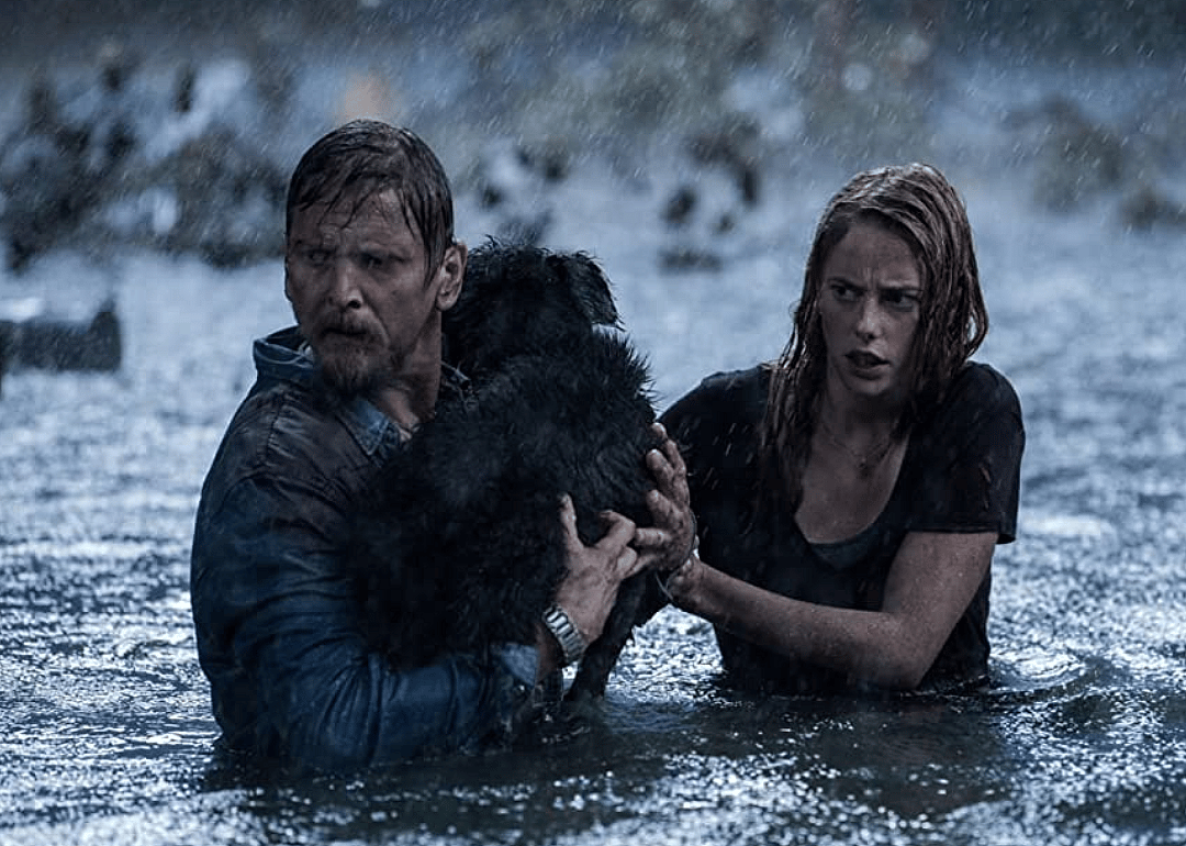 Crawl (2019)