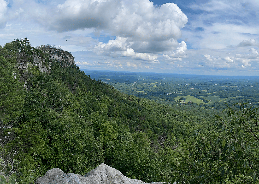 #43. Yadkin County, North Carolina