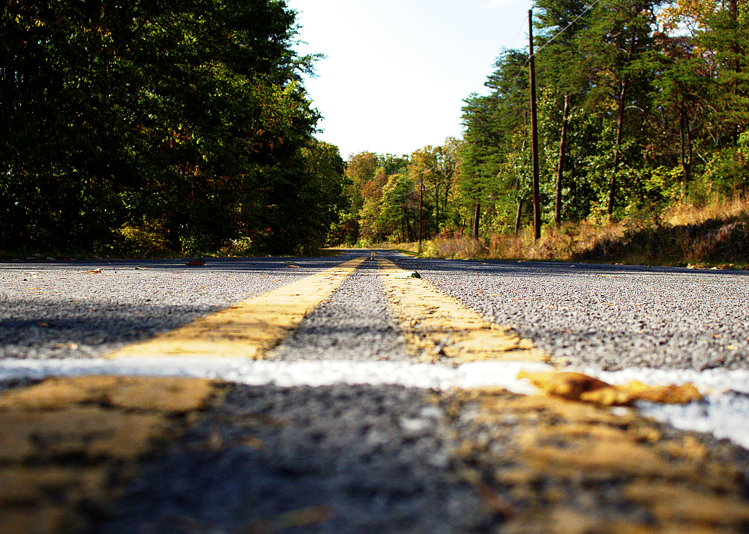 #34. Fannin County, Georgia