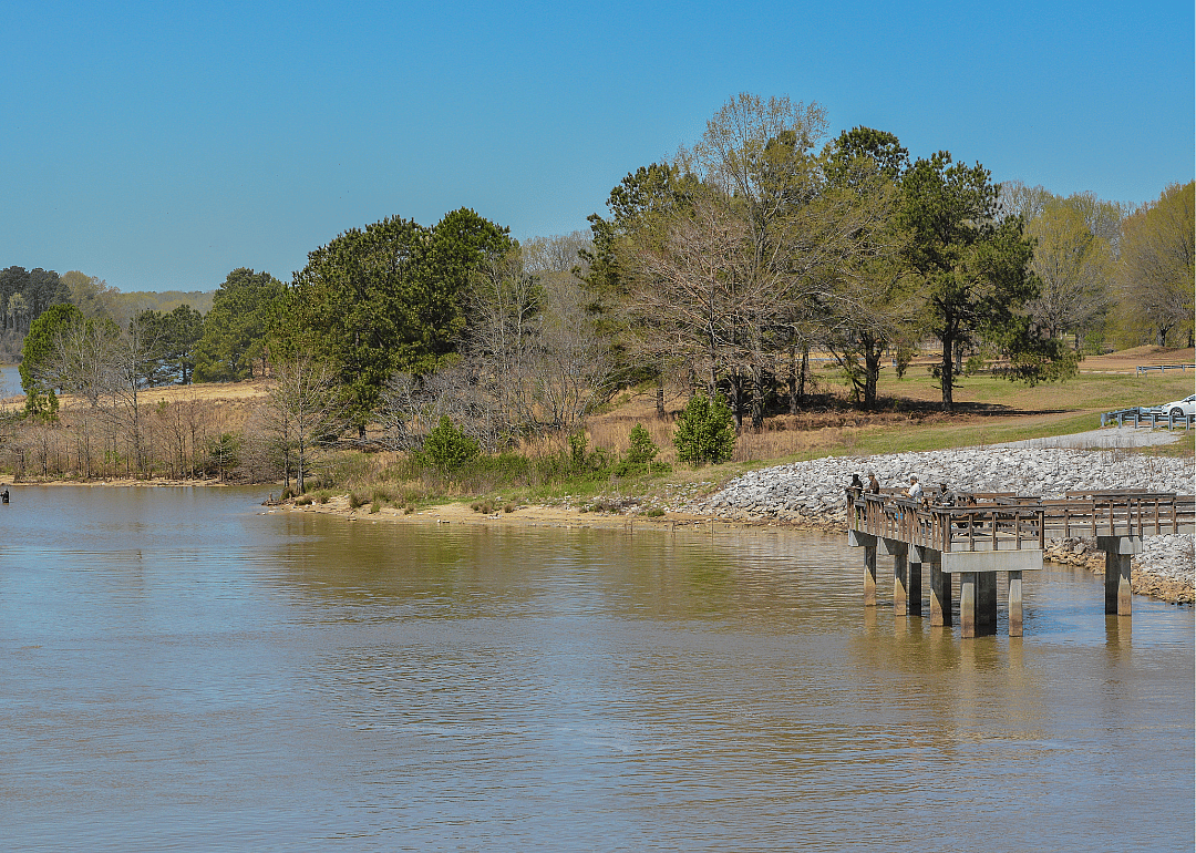 #23. Panola