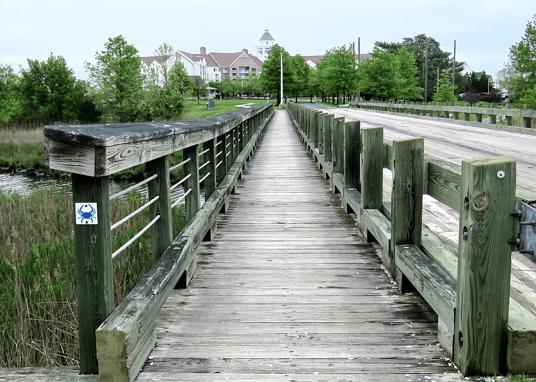 #3. Dorchester County