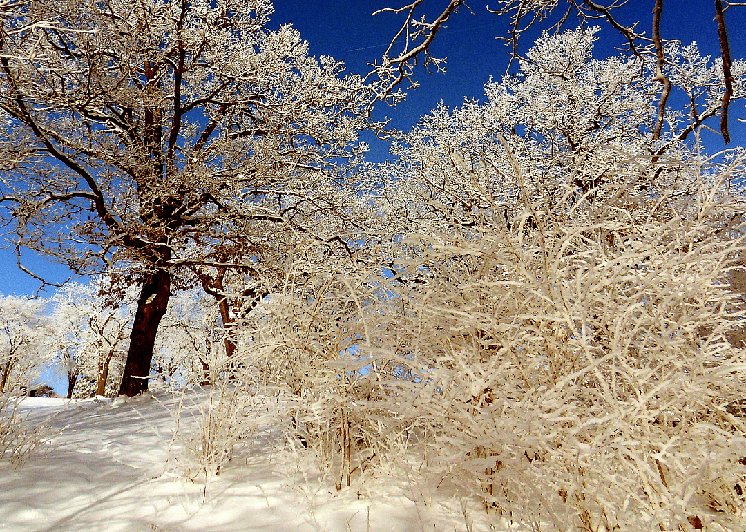 #32. Wapello County