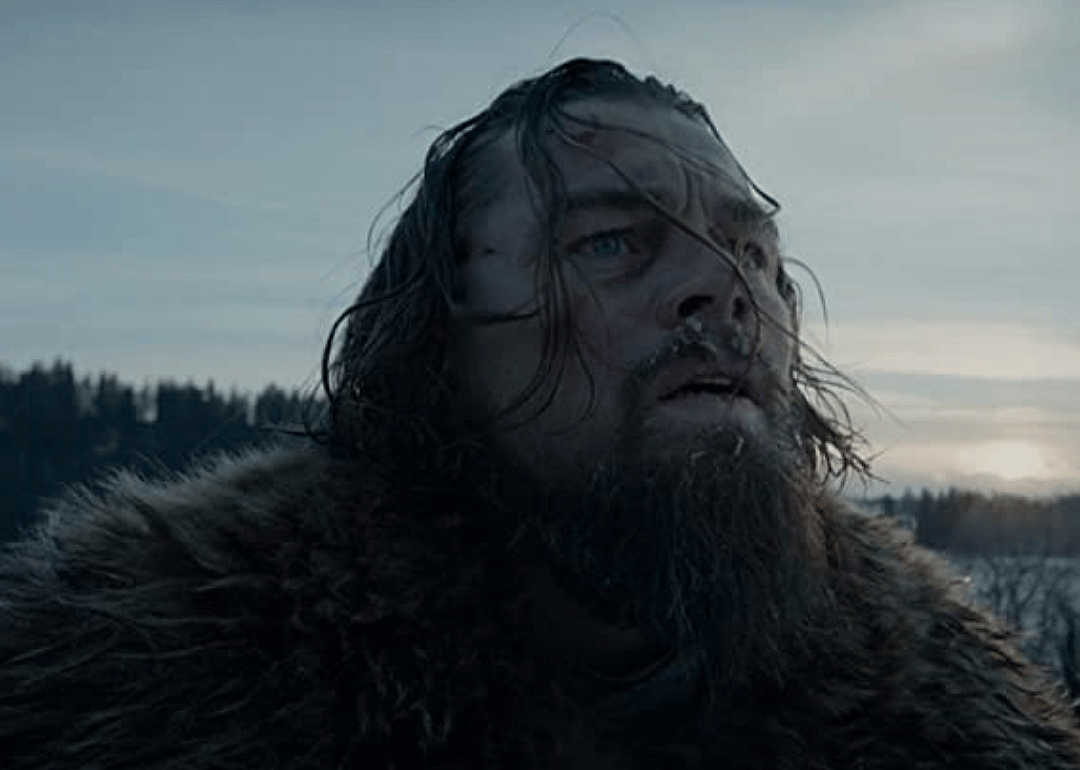The Revenant (2015)