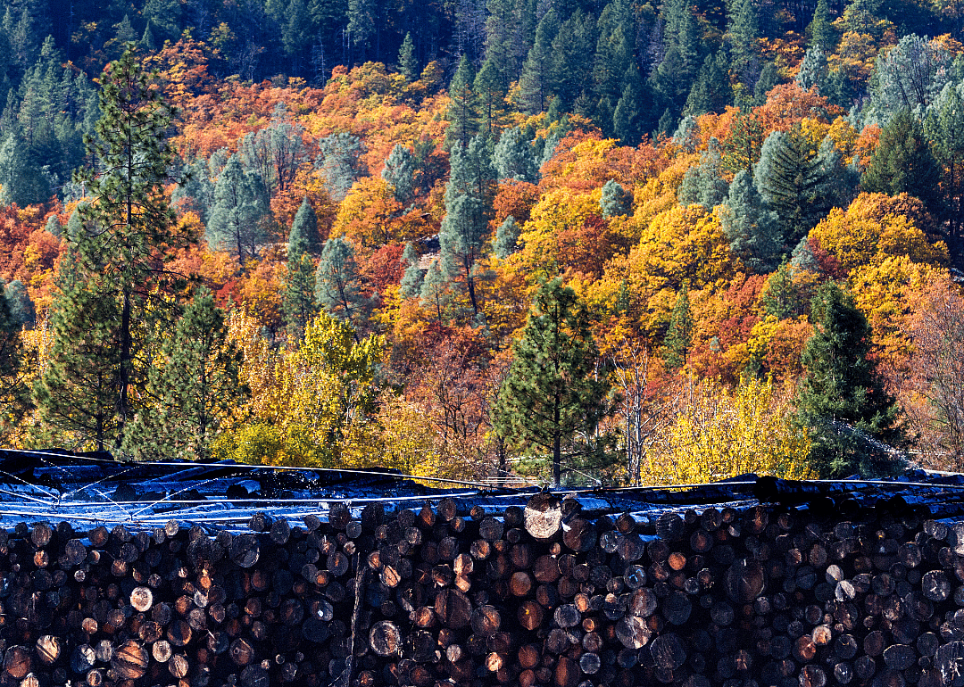 #8. Trinity County