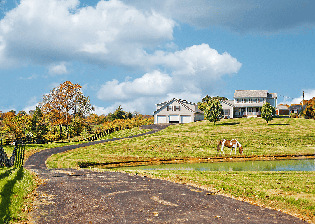 A horse farm in Kentucky.