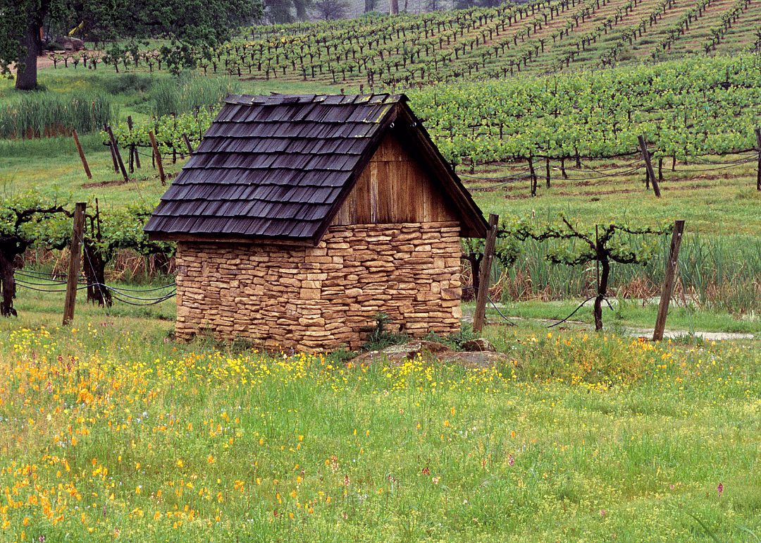 #21. Amador County
