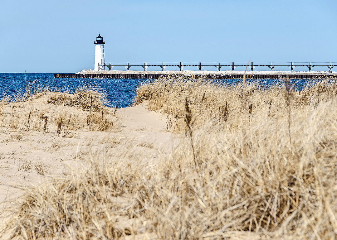 #43. Manistee County