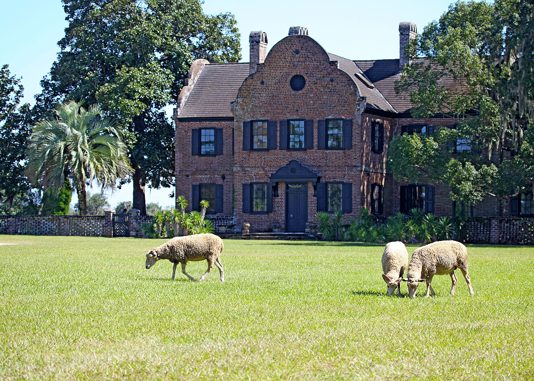 #36. Dorchester County
