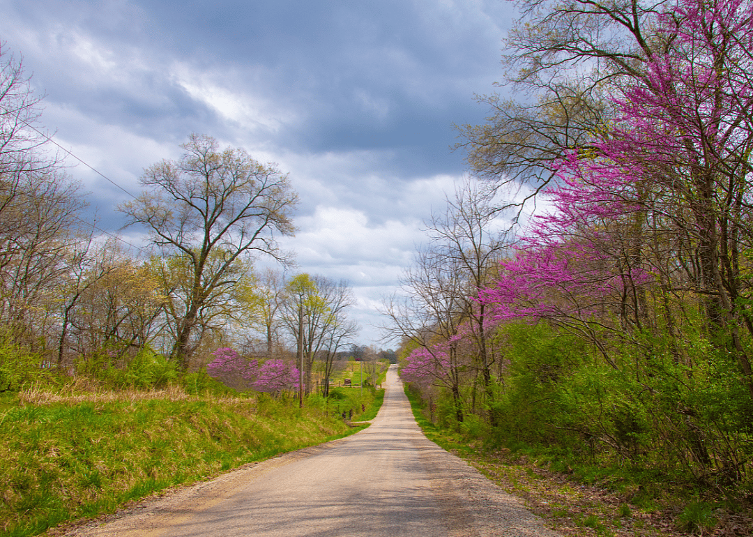 #46. White County