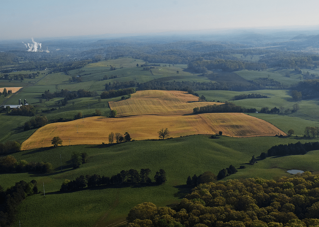 #27. Bradley County