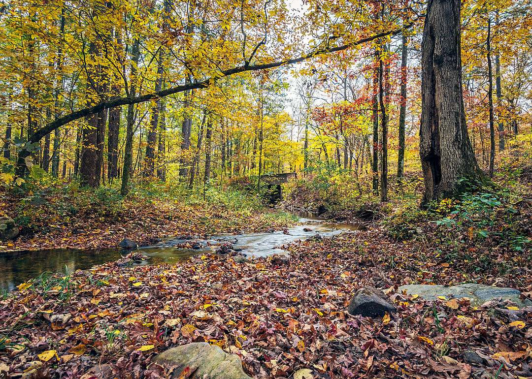 #8. Pickens County