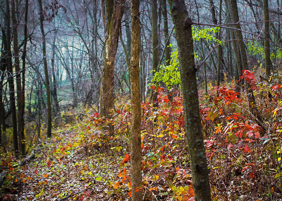 #14. Buffalo County, Wisconsin